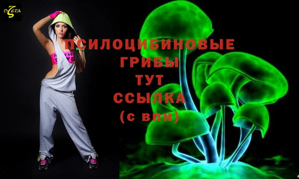 гидропоника Абдулино