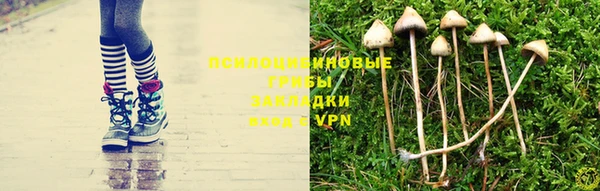гидропоника Абдулино